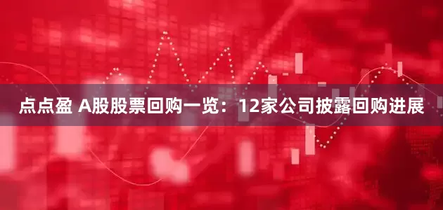 点点盈 A股股票回购一览：12家公司披露回购进展