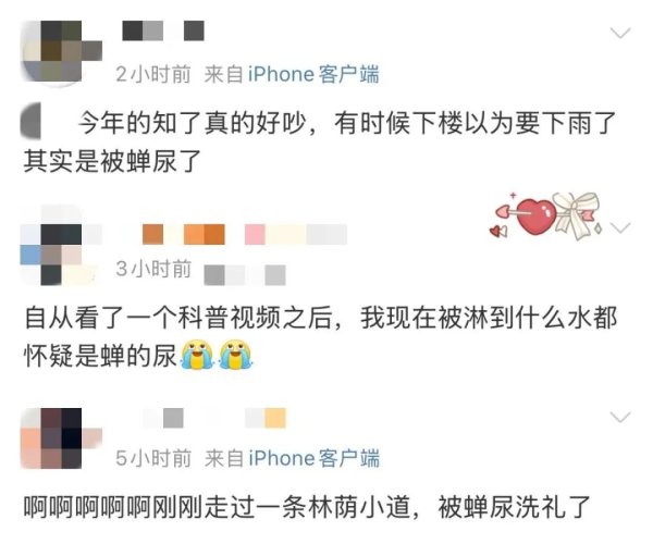 兴启网 “以为是淋雨结果是淋尿”！有人舔了一口瞬间崩溃