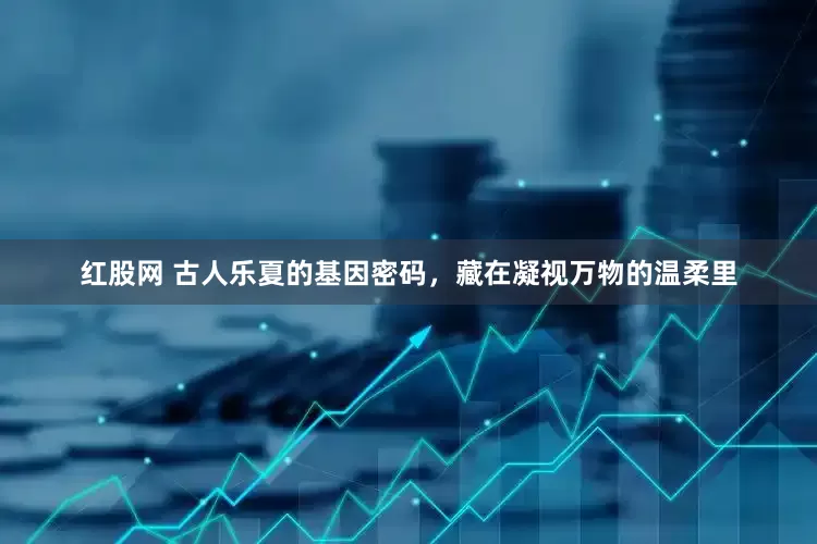 红股网 古人乐夏的基因密码，藏在凝视万物的温柔里